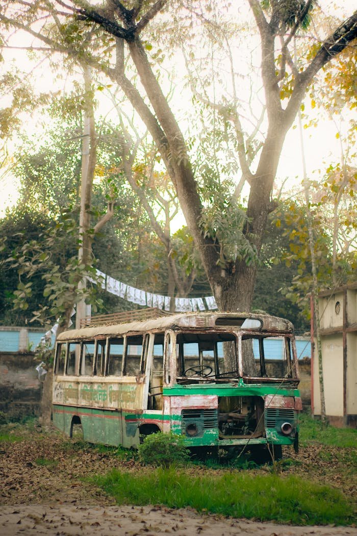 An old, abandoned bus surrounded by nature and decay, depicting a scene of urban neglect.