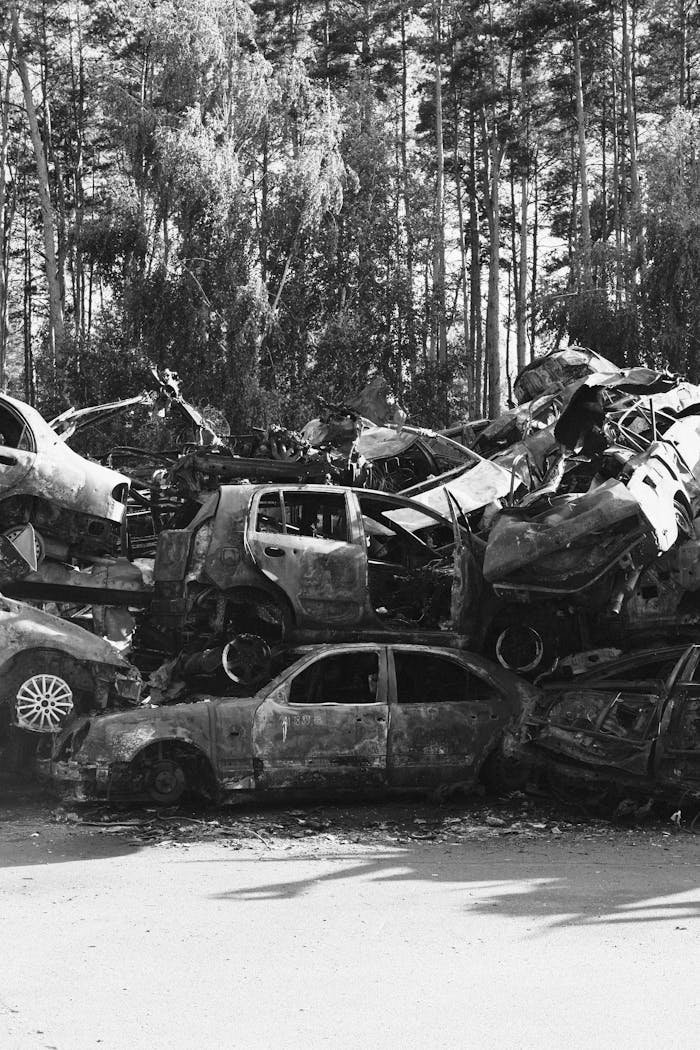 A pile of wrecked and rusty vehicles in a junkyard surrounded by trees.
